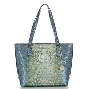 BRAHMIN Medium MISHA HAVEN OMBRE Melbourne Genuine Leather Handbag MSRP $325